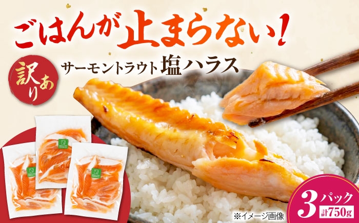 【訳あり】サーモントラウト塩ハラス250g×3パック 訳アリ サーモン ハラス 鮭 トラウトサーモン 塩ハラス 鮭ハラス はらす