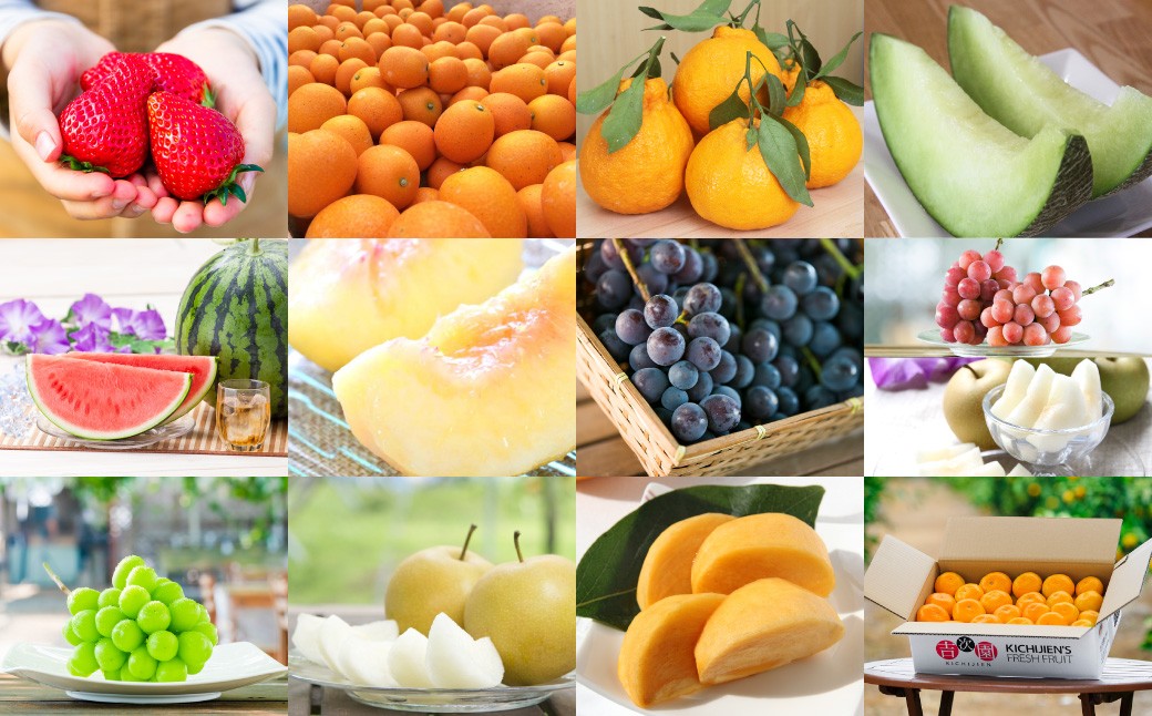 【12ヶ月定期便】熊本フルーツ定期便12カ月