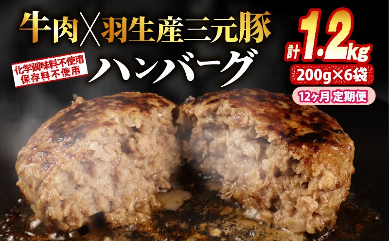 大判ハンバーグ 牛肉 豚肉 あいびき ハンバーグ 小分け 個包装 冷凍 簡単