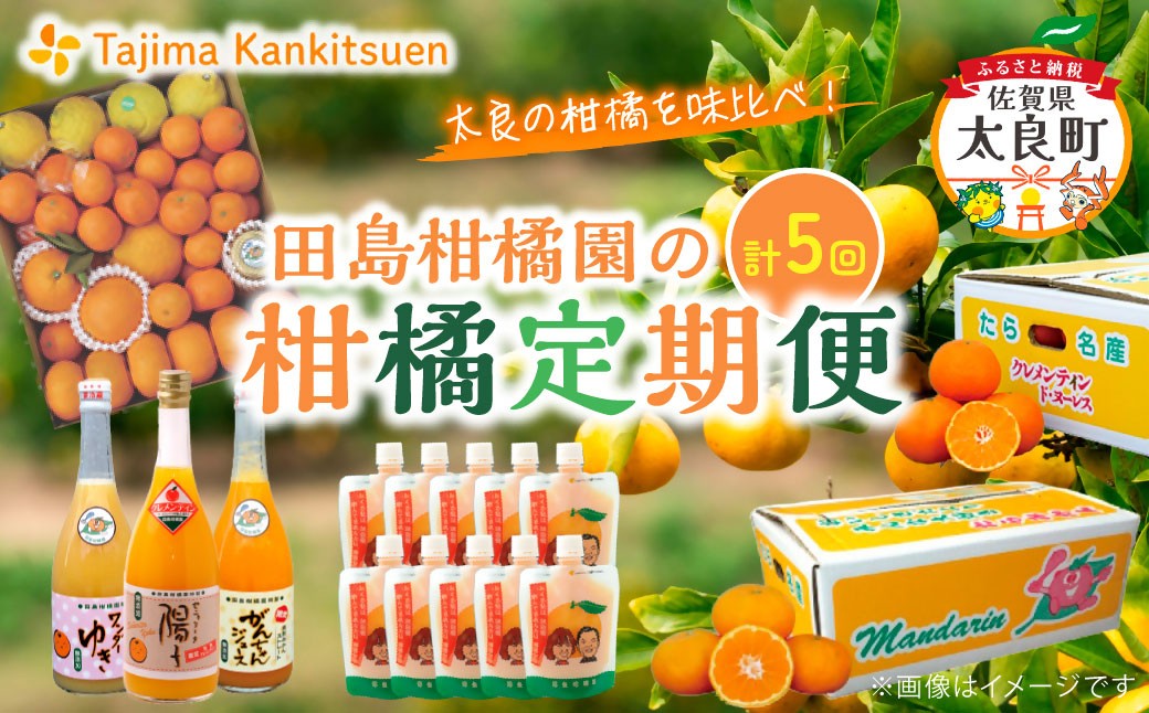【5回定期便】 田島柑橘園の柑橘定期便