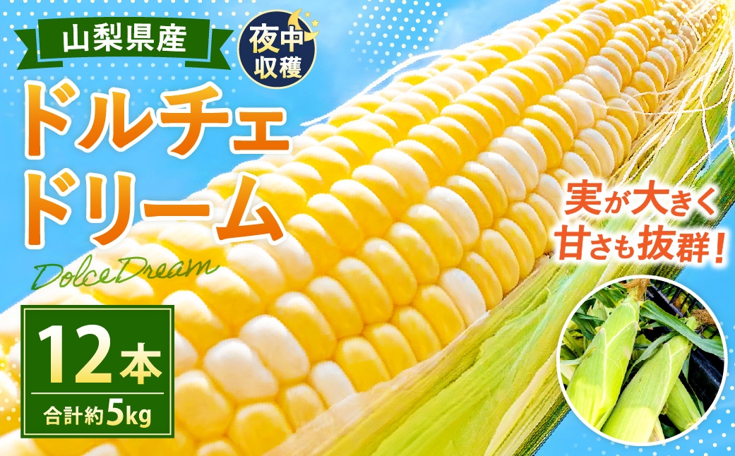 夜中収穫！とうもろこし（ドルチェドリーム）12本（約5kg）