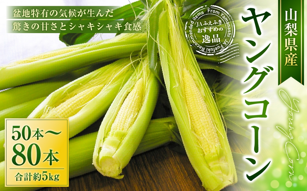 ヤングコーン約5kg（50～80本入）