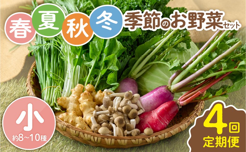 季節ごとの旬な野菜をお届けします。（※写真はイメージです）