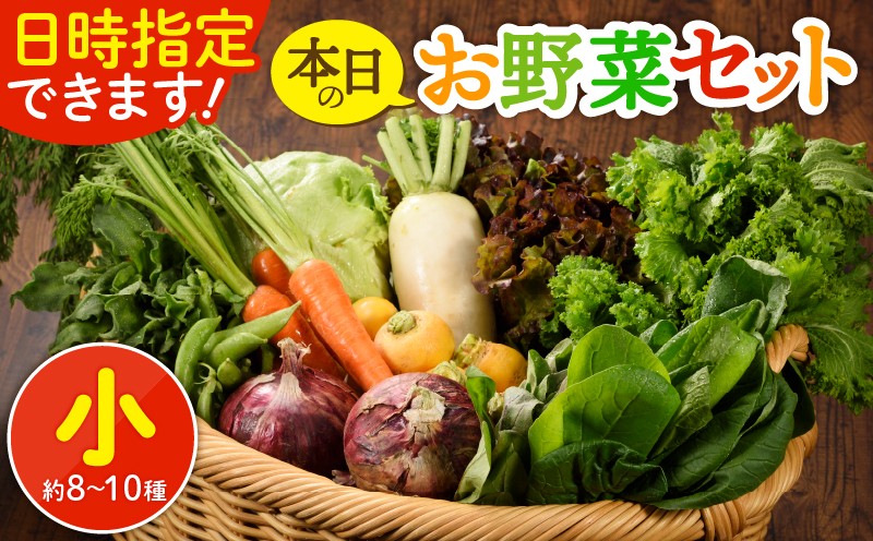 季節ごとの旬な野菜をお届けします。（※写真はイメージです）