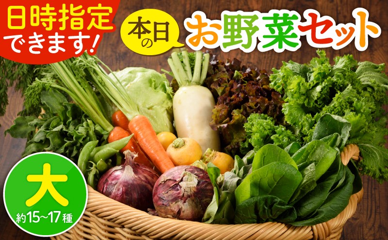 季節ごとの旬な野菜をお届けします。※写真はイメージです。