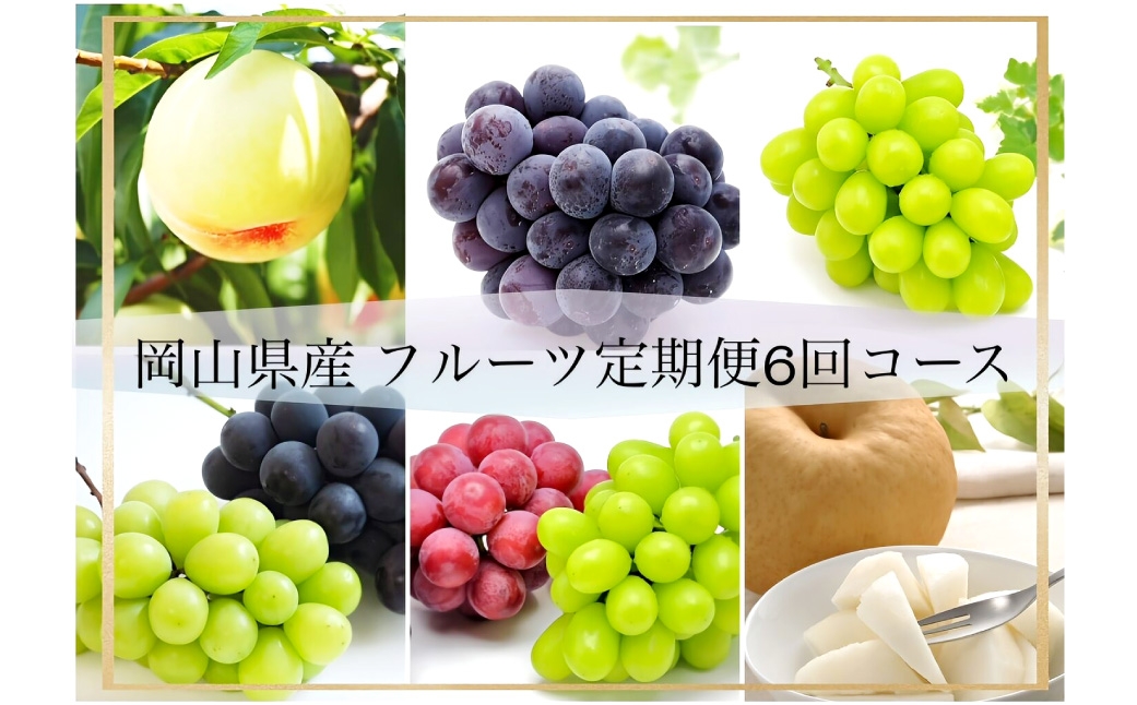 【 全6回定期便 】 岡山県産 フルーツ定期便＜お一人様向け＞