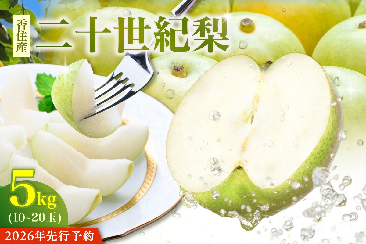大人気のお礼の品！香美町の二十世紀梨！
先行予約で承ります。