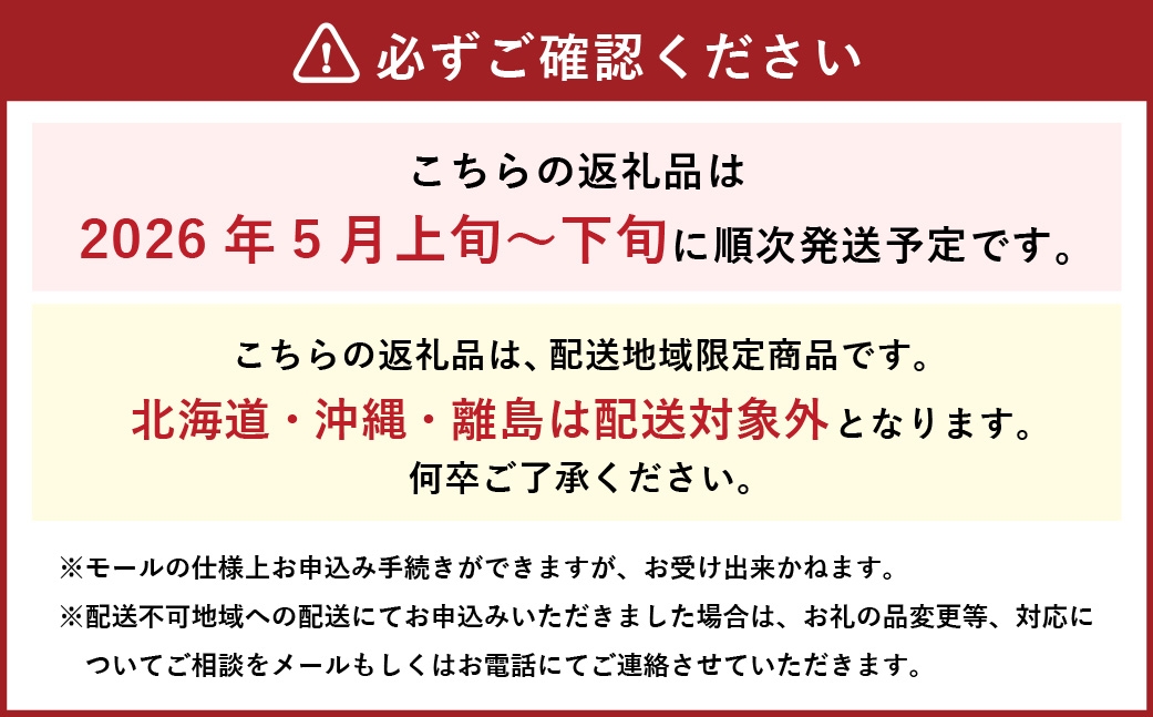 ヤングコーン（ゴールドラッシュ）たっぷり60本約5kg