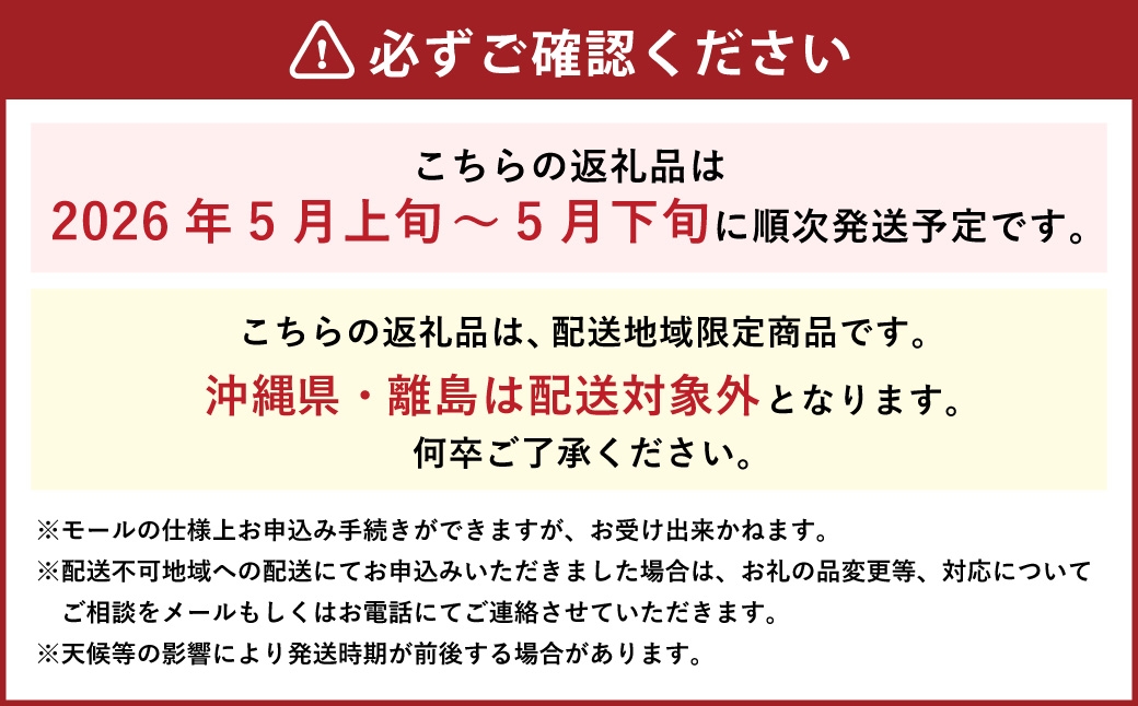 ヤングコーン約5kg（50～80本入）