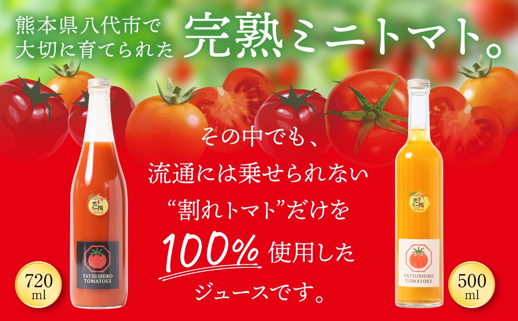熊本県八代市で大切に育てられた完熟ミニトマト。