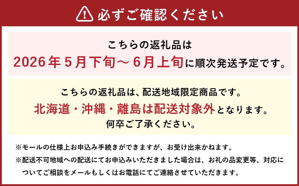夜中収穫！とうもろこし（ゴールドラッシュ）