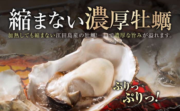 牡蠣 かき カキ 殻付き 殻 冷凍牡蠣 広島牡蠣 オイスター kaki 広島県産