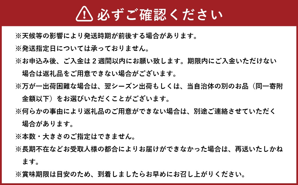 夜中収穫！とうもろこし（ドルチェドリーム）12本（約5kg）