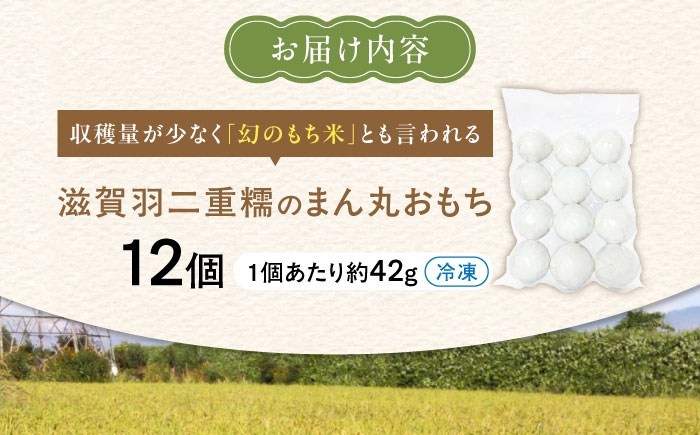 滋賀羽二重糯 丸餅 モチ 餅 もち まるもち 丸いお餅 丸い餅 羽二重糯 羽二重餅 お雑煮 焼餅 お汁粉 人気 おすすめ 長浜市