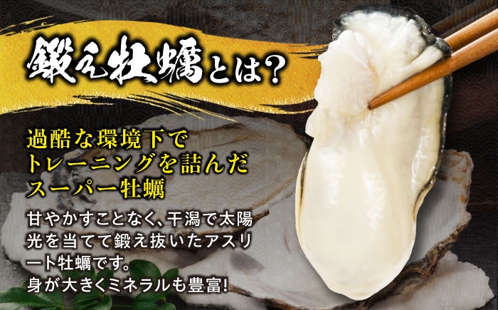 牡蠣 生食用 殻付き 殻 かき カキ 生牡蠣 広島牡蠣 オイスター kaki