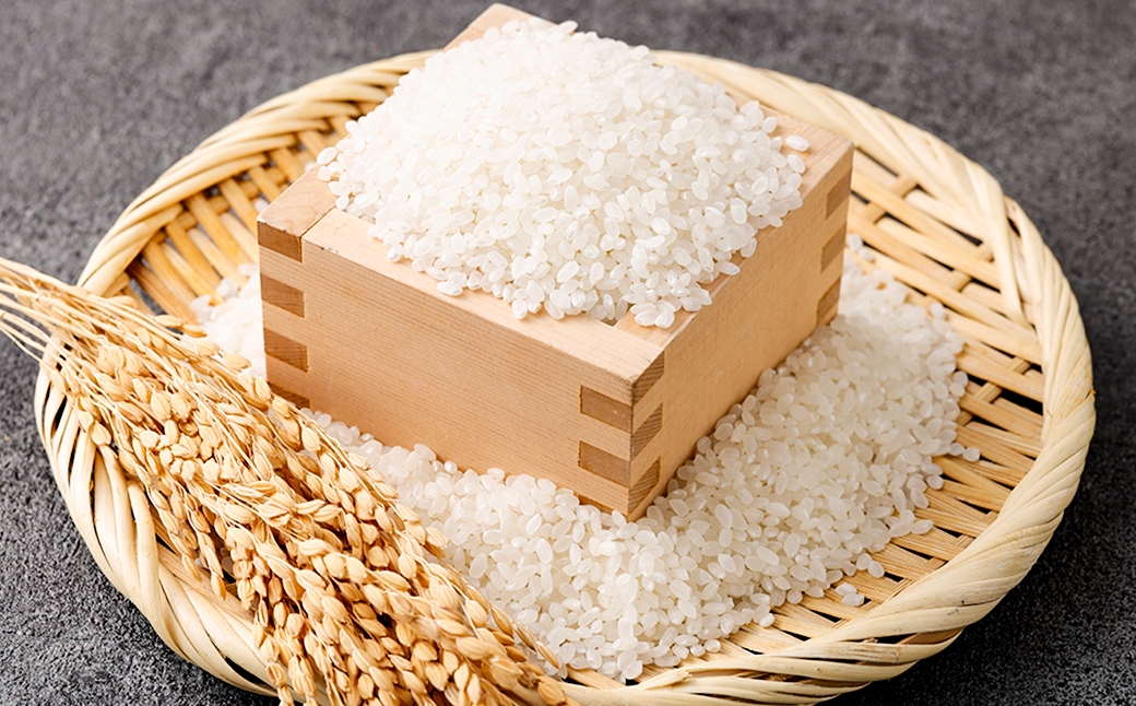 熊本県産ぴかまる 5kg×2袋