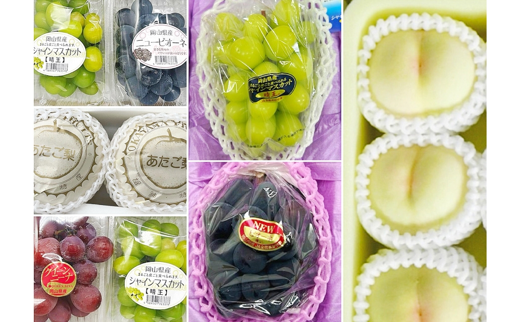 【 全6回定期便 】 岡山県産 フルーツ定期便＜お一人様向け＞