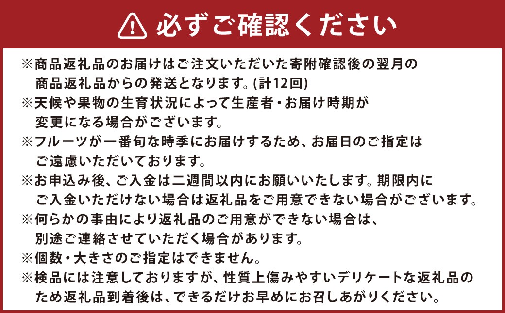 【12ヶ月定期便】熊本フルーツ定期便12カ月