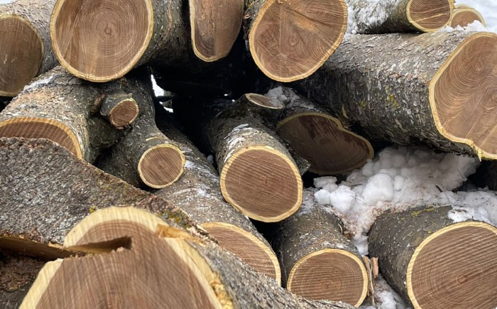 北海道 木彫り 民芸品 どんころ熊 クマ 熊 くま 置物 オブジェ ハンドメイド