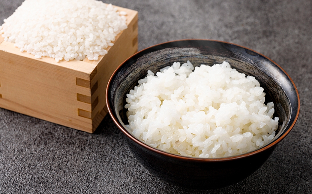 熊本県産お米 五ツ星マイスターおすすめセット