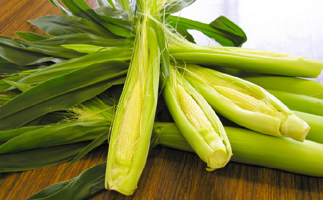 ヤングコーン約5kg（50～80本入）