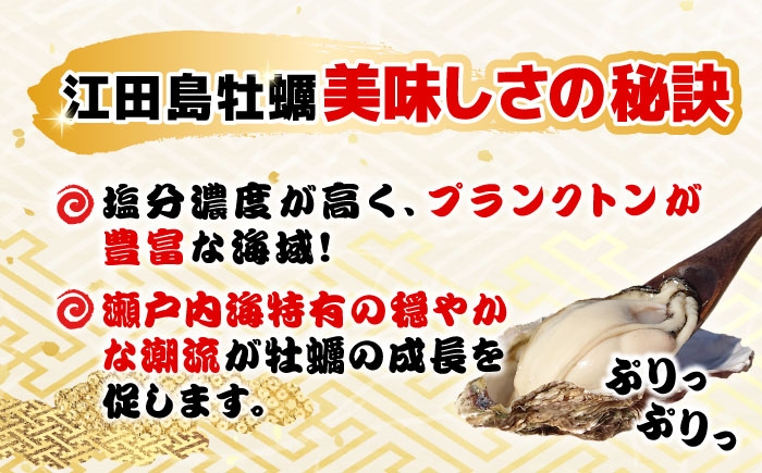 牡蠣 むき身 カキフライ かき カキ 広島牡蠣 オイスター kaki 広島県産