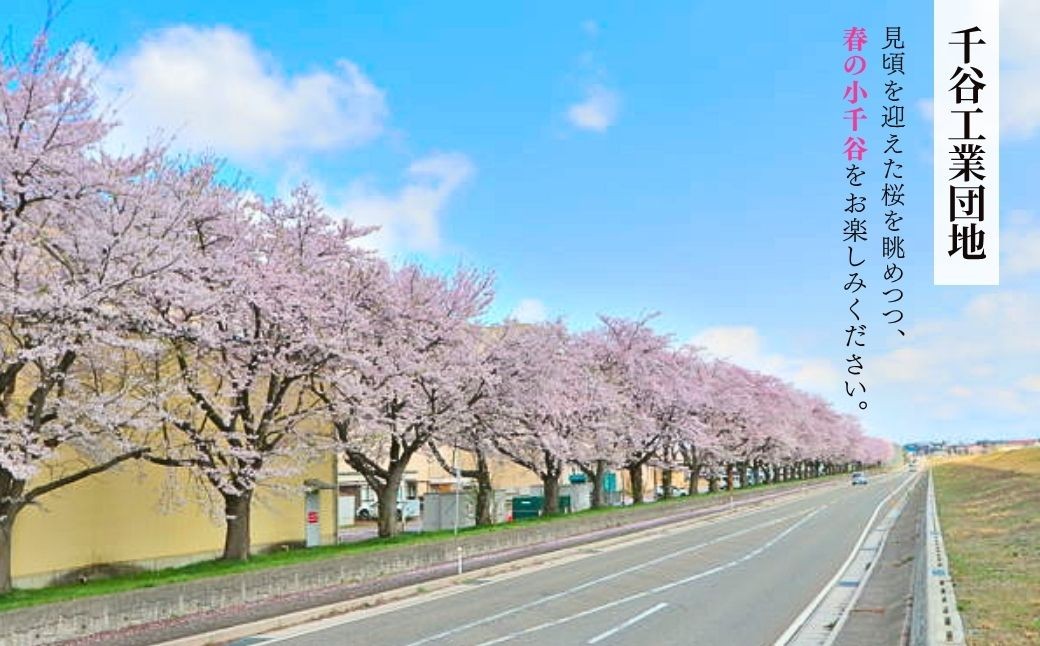 空舞うブルーインパルス記念酒。魚沼の米と味わう至福の一献。