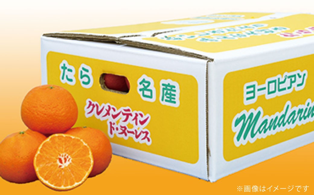 【5回定期便】 田島柑橘園の柑橘定期便