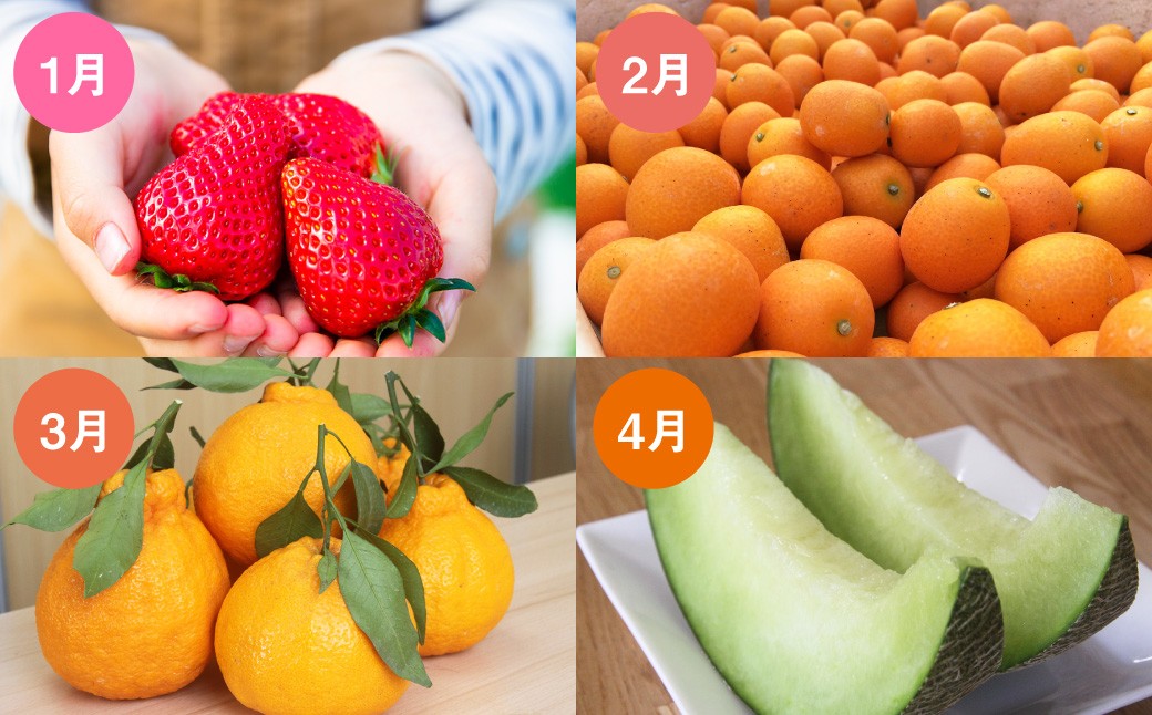 【12ヶ月定期便】熊本フルーツ定期便12カ月
