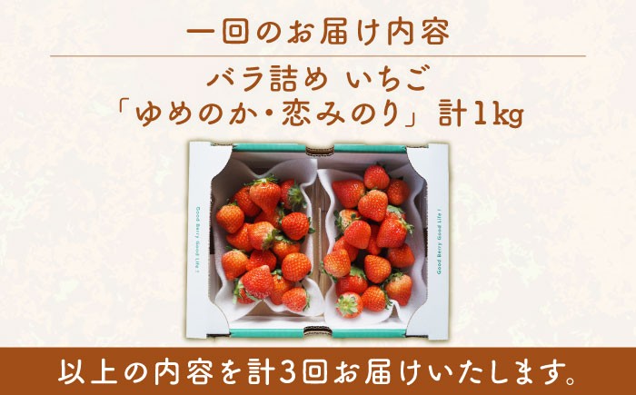  まとめ買い 人気 便利  贈り物 ギフト 食材  イチゴ 苺 フルーツ 果物