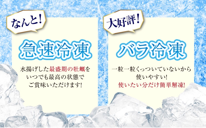 牡蠣 かき カキ むき身 冷凍牡蠣 広島牡蠣 オイスター kaki 広島県産
