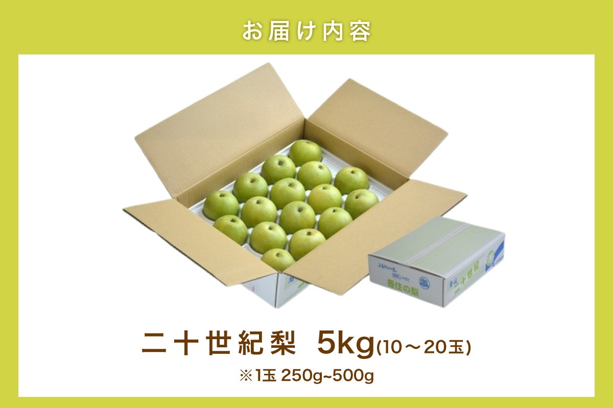 梱包状態のイメージです。