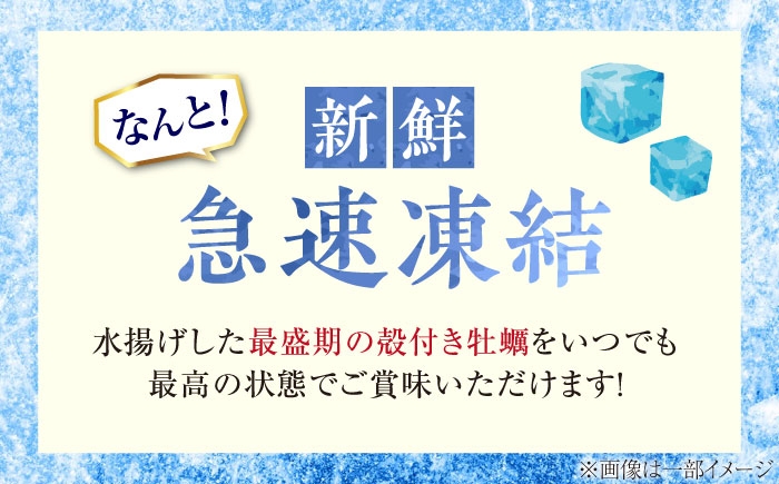 牡蠣 かき カキ 殻付き 殻 冷凍牡蠣 広島牡蠣 オイスター kaki 広島県産