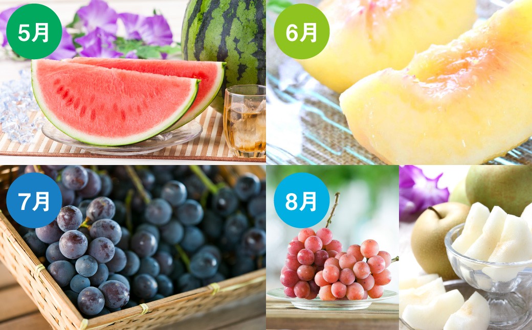 【12ヶ月定期便】熊本フルーツ定期便12カ月