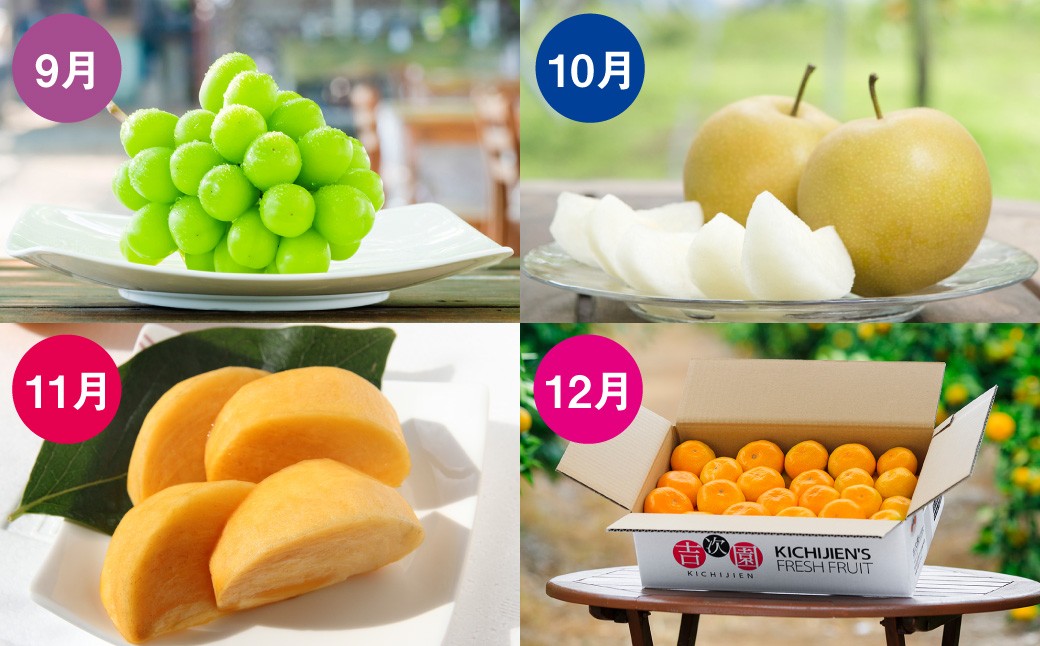 【12ヶ月定期便】熊本フルーツ定期便12カ月