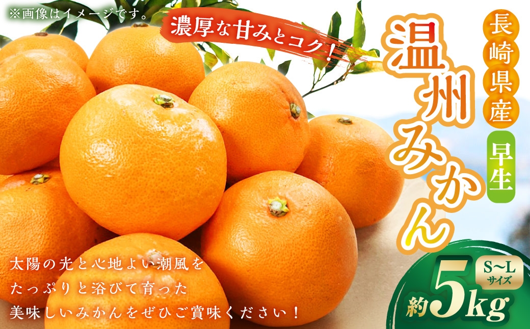 温州みかん(早生)約5kg