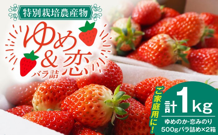 いちご イチゴ 苺 1kg 1キロ ゆめのか 恋みのり 2種 ミックス 詰め合わせ セット バラ バラ詰め 家庭用