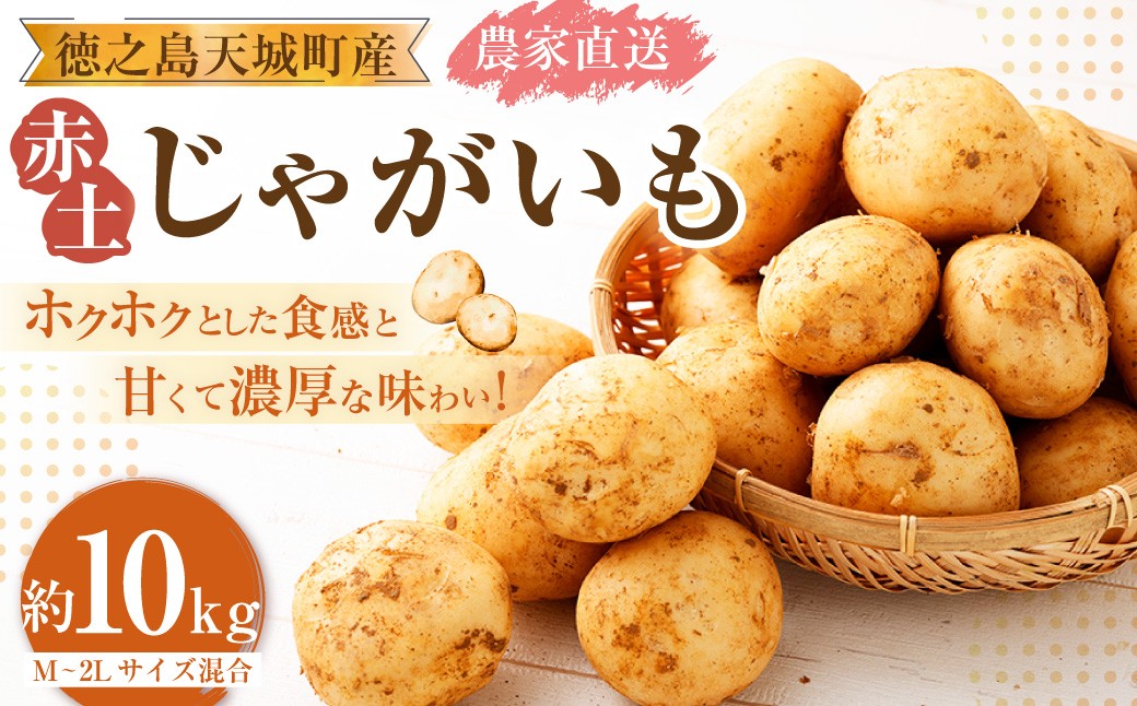 【農家直送】 徳之島 天城町産 赤土じゃがいも 10kg （ M～2L サイズ混合 ）