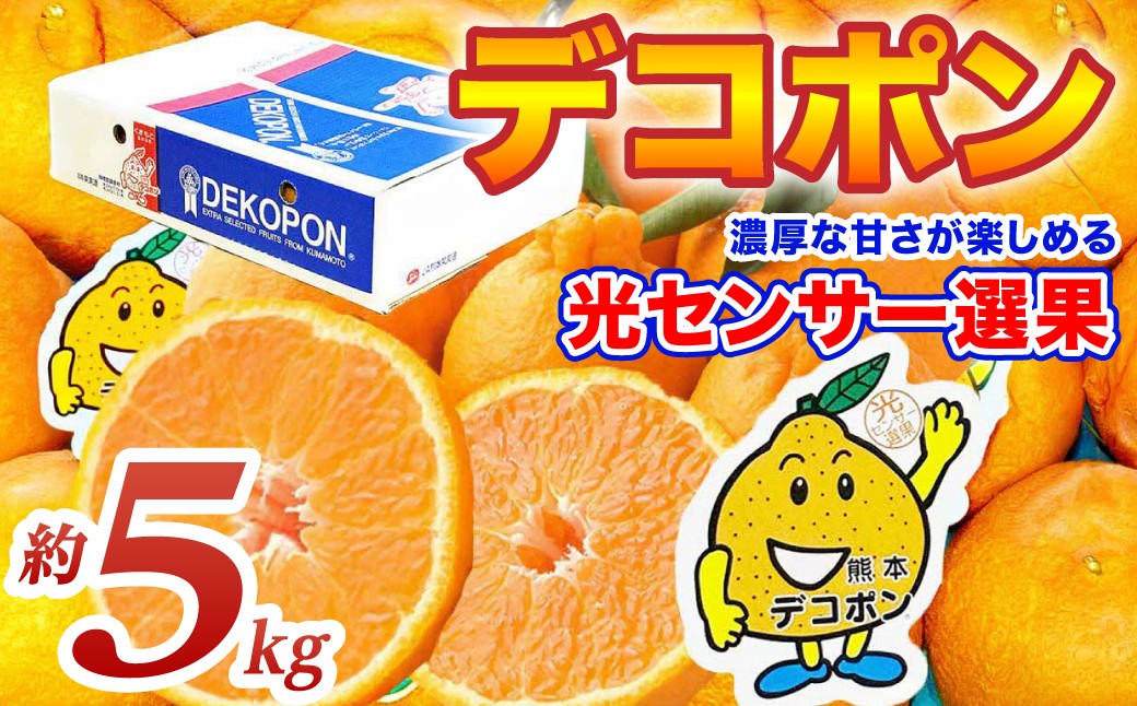 デコポン 約5kg　濃厚な甘さが楽しめる光センサー選果