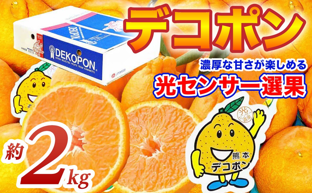 デコポン 約2kg　濃厚な甘さが楽しめる光センサー選果