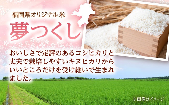 福岡県産 夢つくし パックご飯 計48パック （各200g）
