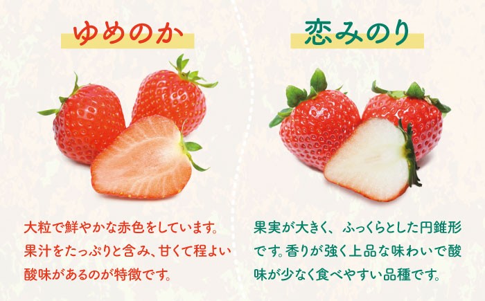 いちご イチゴ 苺 1kg 1キロ ゆめのか 恋みのり 2種 ミックス 詰め合わせ セット バラ バラ詰め 家庭用