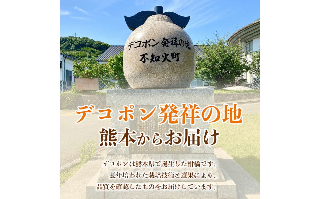 デコポン発祥の地　熊本からお届け