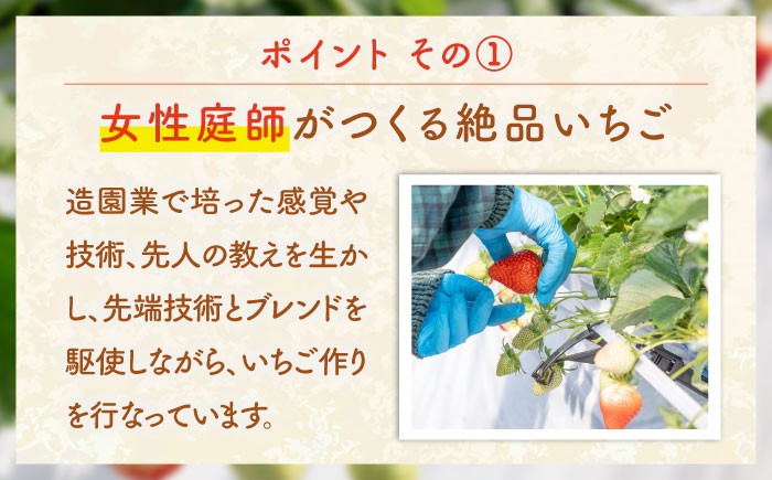 いちご イチゴ 苺 1kg 1キロ ゆめのか 恋みのり 2種 ミックス 詰め合わせ セット バラ バラ詰め 家庭用