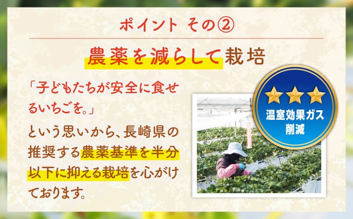 おすすめ オススメ 人気 贈り物 ギフト いちご イチゴ 苺 フルーツ 果物