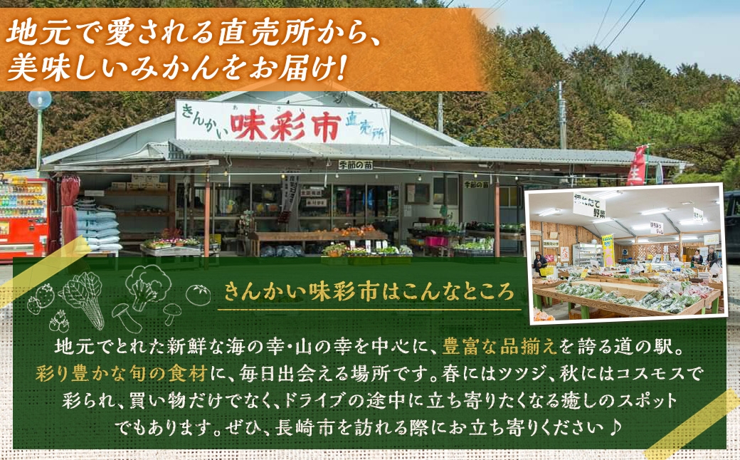 温州みかん(早生)約5kg