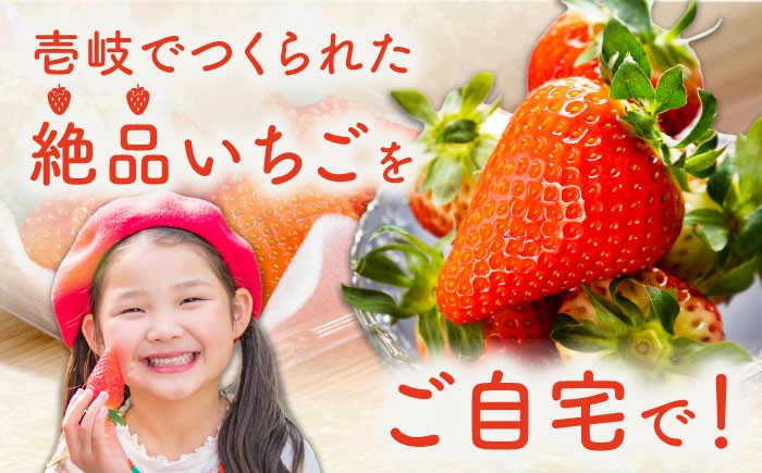  まとめ買い 人気 便利  贈り物 ギフト 食材  イチゴ 苺 フルーツ 果物
