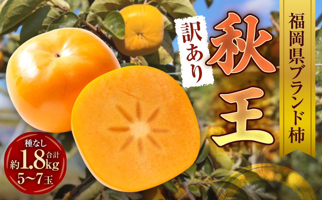【訳あり品】 福岡県ブランド柿 秋王 訳あり品 5－7玉 約1.8kg 種無し