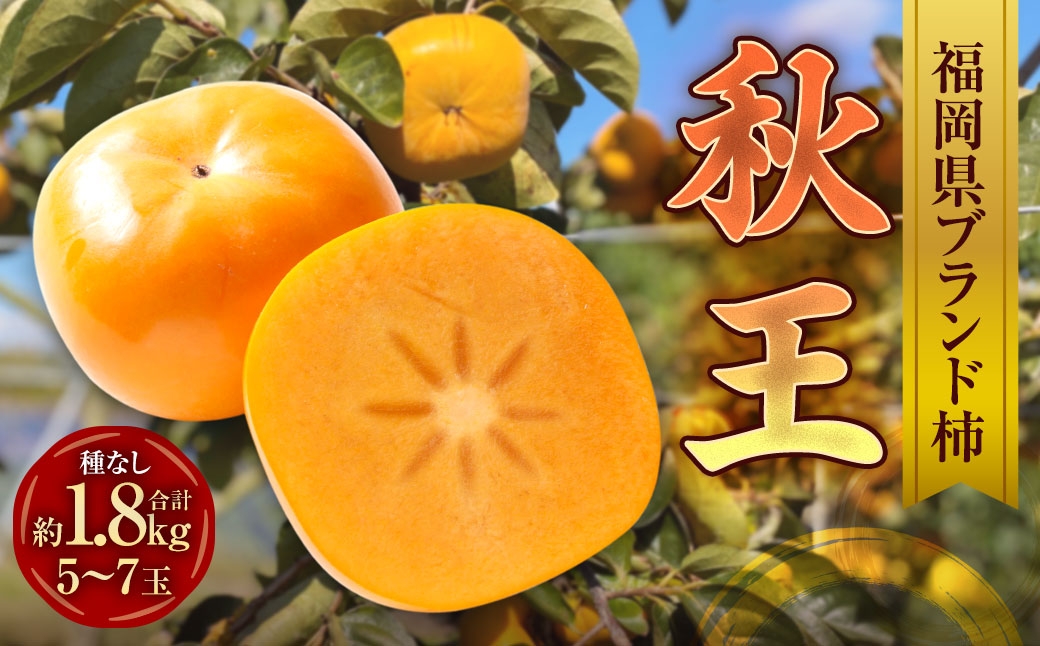 福岡県ブランド柿 秋王 5－7玉 約1.8kg 種無し
