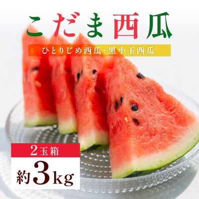 小玉スイカ 2Lサイズ以上2玉入り